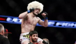 达尔基,揭示生命起源与演化的奥秘